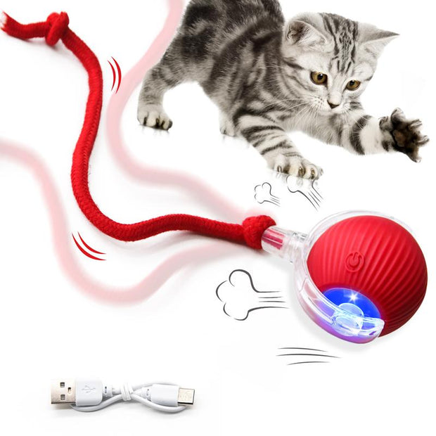 The Purr-fect Playtime: USB Rechargeable Ball Toy for Cats & Dogs - Chirp, Chase, and Conquer Boredom!