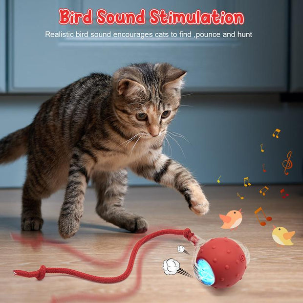 The Purr-fect Playtime: USB Rechargeable Ball Toy for Cats & Dogs - Chirp, Chase, and Conquer Boredom!