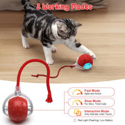The Purr-fect Playtime: USB Rechargeable Ball Toy for Cats & Dogs - Chirp, Chase, and Conquer Boredom!