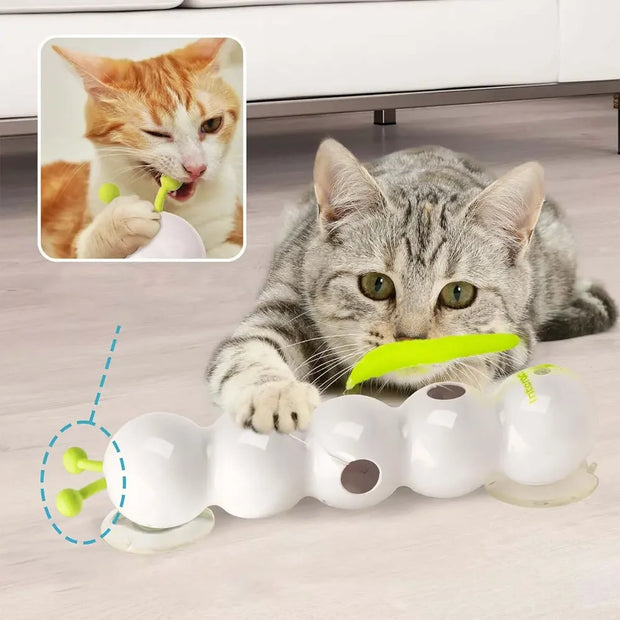 Engage Your Cat with the Interactive Caterpillar Toy for Endless Playtime Fun!