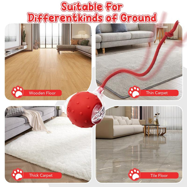 The Purr-fect Playtime: USB Rechargeable Ball Toy for Cats & Dogs - Chirp, Chase, and Conquer Boredom!