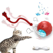 The Purr-fect Playtime: USB Rechargeable Ball Toy for Cats & Dogs - Chirp, Chase, and Conquer Boredom!