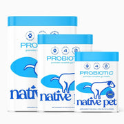 Transform Your Dog's Digestive Health with Native Pet Probiotic Powder - 6 Billion CFUs for Optimal Gut Wellness