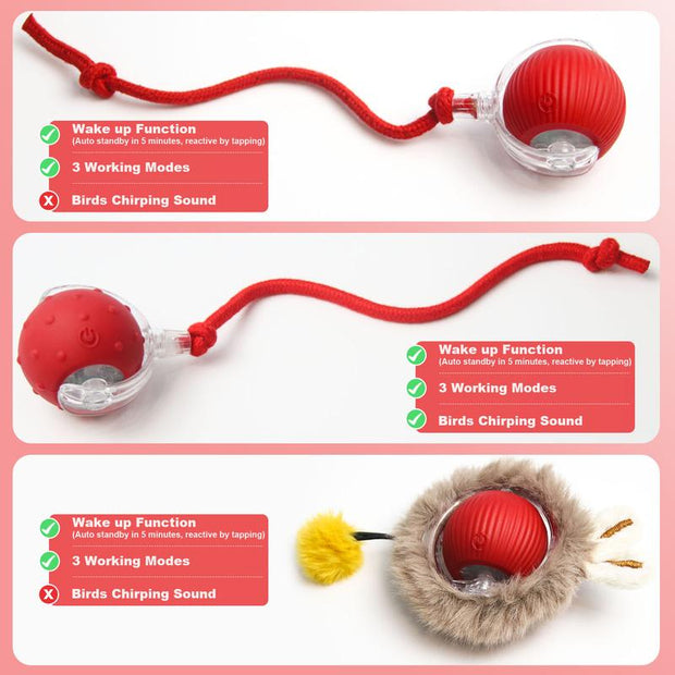 The Purr-fect Playtime: USB Rechargeable Ball Toy for Cats & Dogs - Chirp, Chase, and Conquer Boredom!