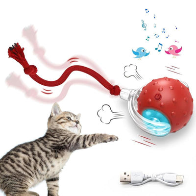The Purr-fect Playtime: USB Rechargeable Ball Toy for Cats & Dogs - Chirp, Chase, and Conquer Boredom!