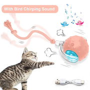 The Purr-fect Playtime: USB Rechargeable Ball Toy for Cats & Dogs - Chirp, Chase, and Conquer Boredom!
