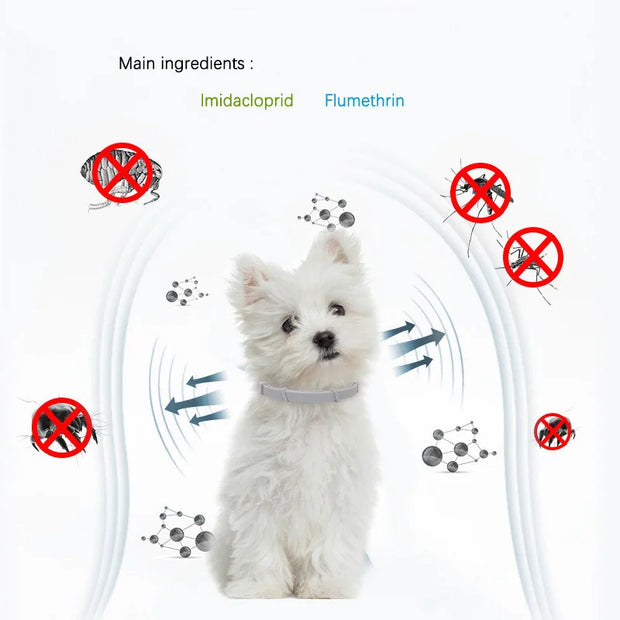 Say goodbye to fleas and ticks! 🌟 Check out our 38/70CM retractable anti-parasitic collars for dogs and cats—perfect for keeping your furry friends safe and stylish! 🐾💖
