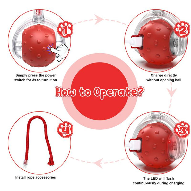 The Purr-fect Playtime: USB Rechargeable Ball Toy for Cats & Dogs - Chirp, Chase, and Conquer Boredom!