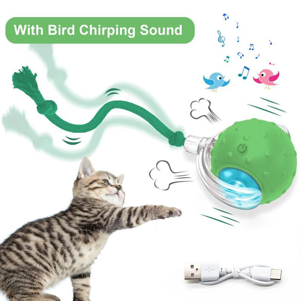 The Purr-fect Playtime: USB Rechargeable Ball Toy for Cats & Dogs - Chirp, Chase, and Conquer Boredom!