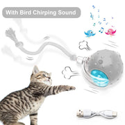 The Purr-fect Playtime: USB Rechargeable Ball Toy for Cats & Dogs - Chirp, Chase, and Conquer Boredom!