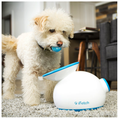 Revolutionary iFetch Ball Launcher for Small to Medium Dogs - Endless Fun Awaits!