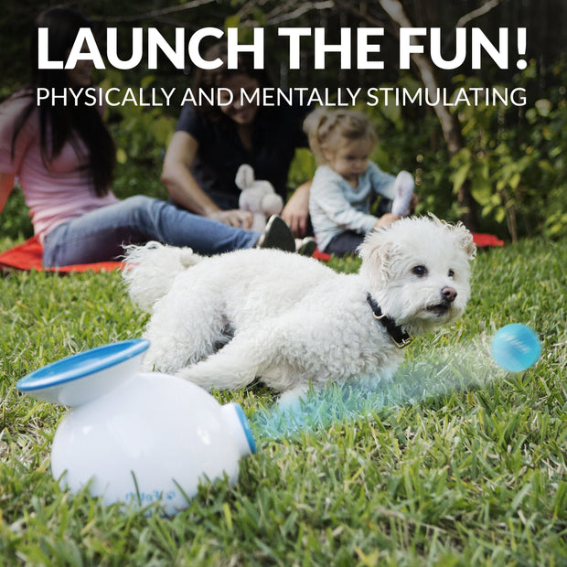 Revolutionary iFetch Ball Launcher for Small to Medium Dogs - Endless Fun Awaits!